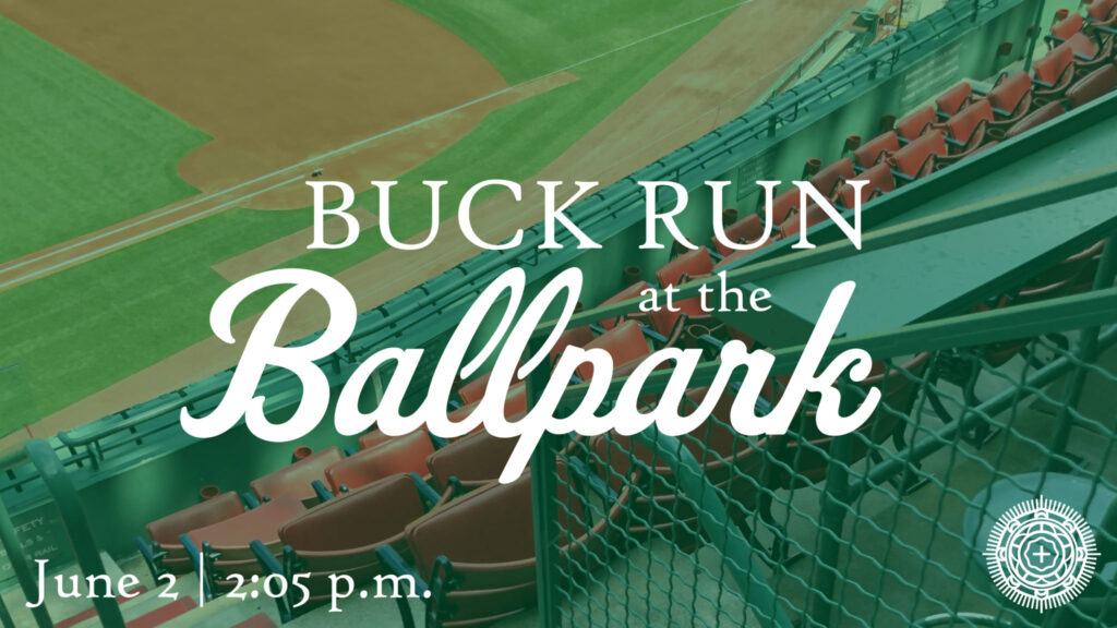 Ballpark-2019-01