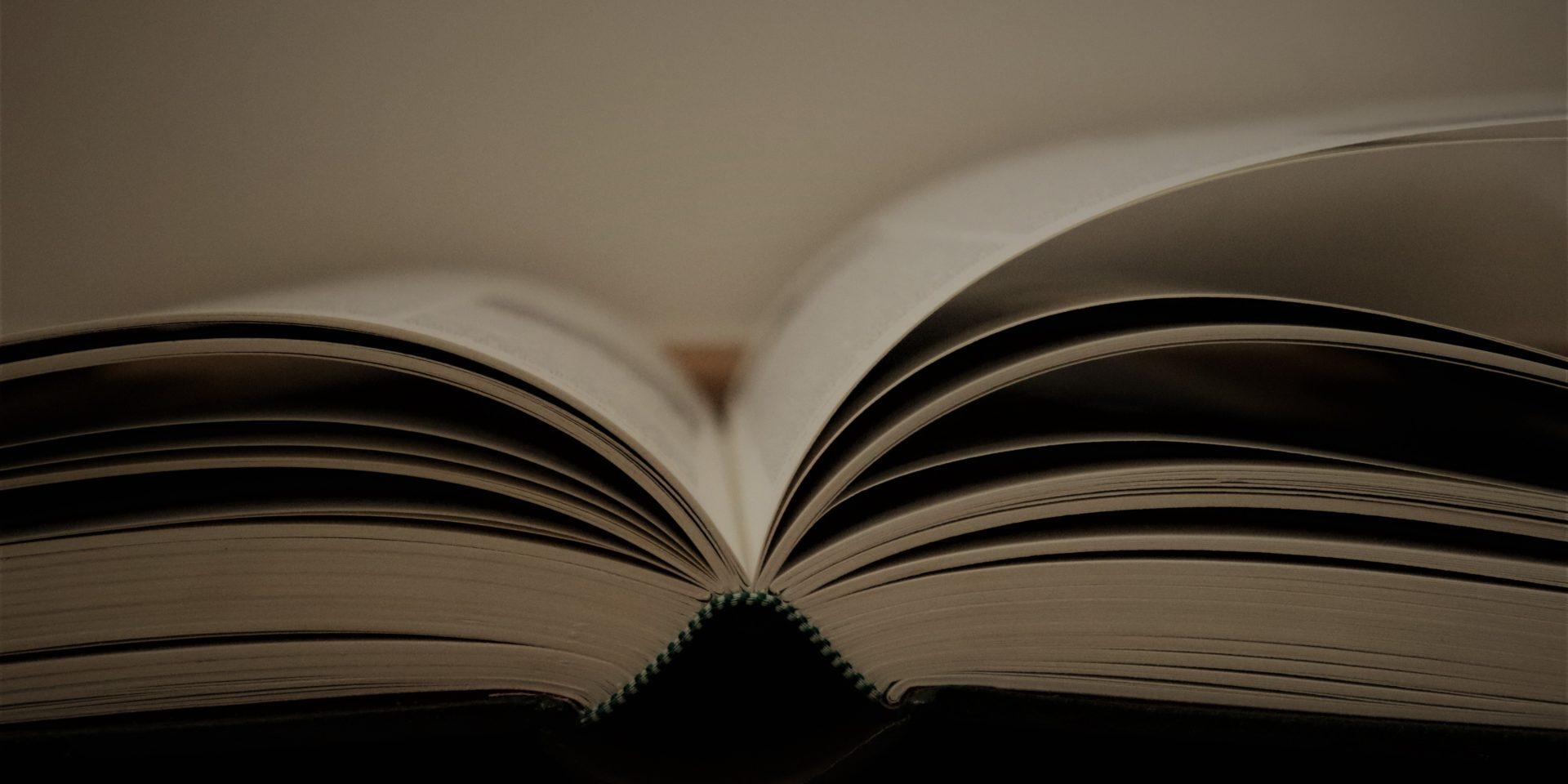 rachel-forrez-zerTsgc3Mvg-unsplash